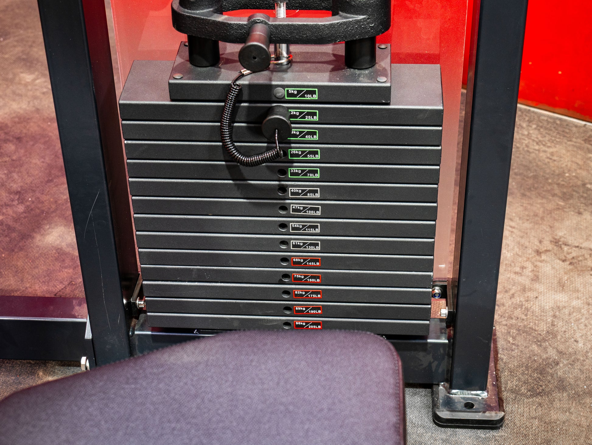 BUILD Biceps Triceps Combo (New)