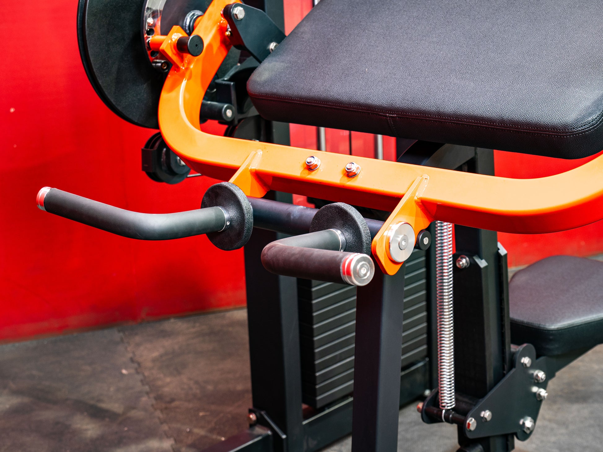 BUILD Biceps Triceps Combo (New)