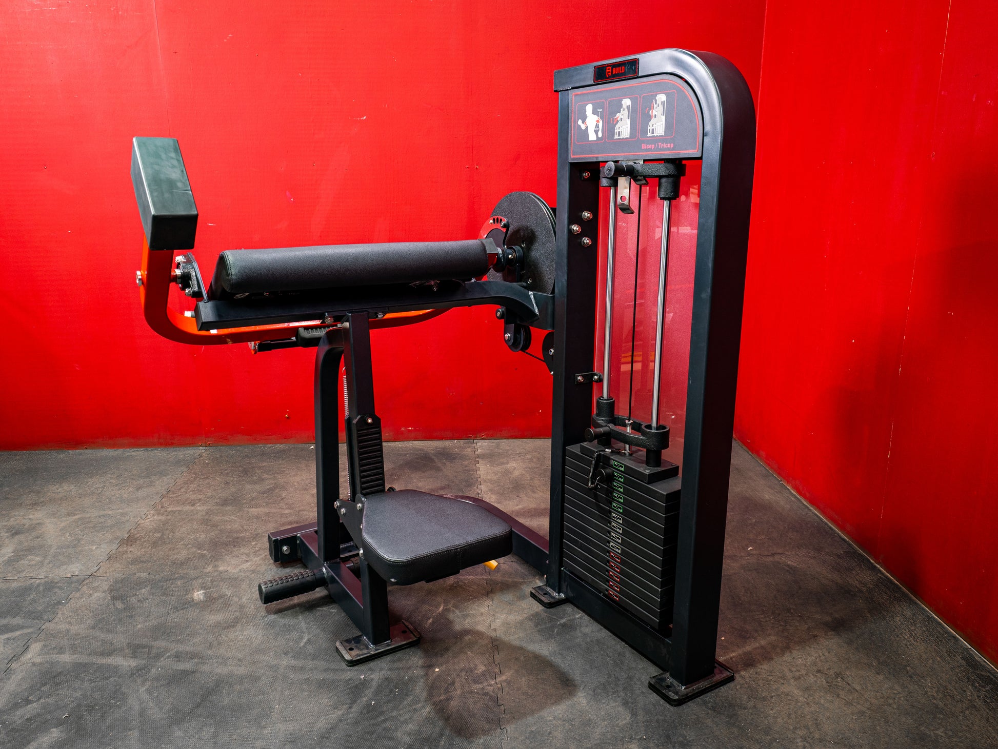 BUILD Biceps Triceps Combo (New)