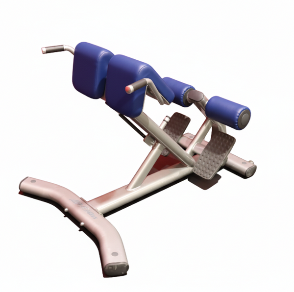 Life Fitness Signature Series Back Extension (Remanufactured)