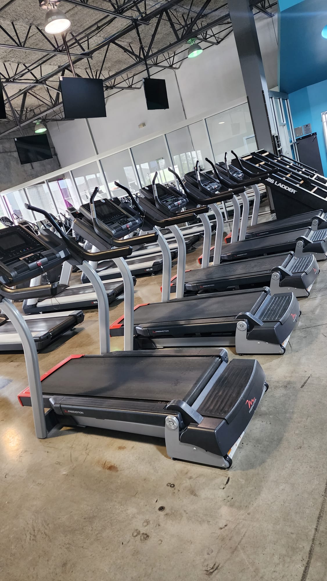Incoming Inventory:  10 FreeMotion 11.9 Incline Trainers: Cardio Package