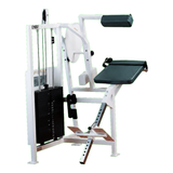 Cybex Classic Back Extension (Remanufactured)