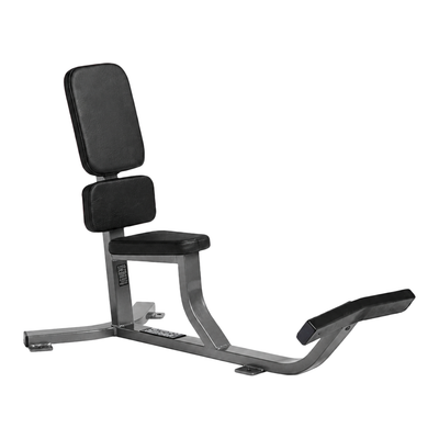 Hammer Strength Upright Bench gray frame black upholstery — complete background delete