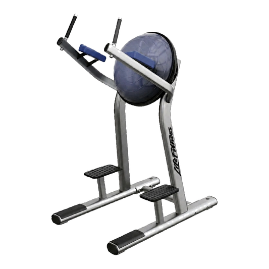 Life Fitness Leg Raise (Remanufactured) – background removed product image