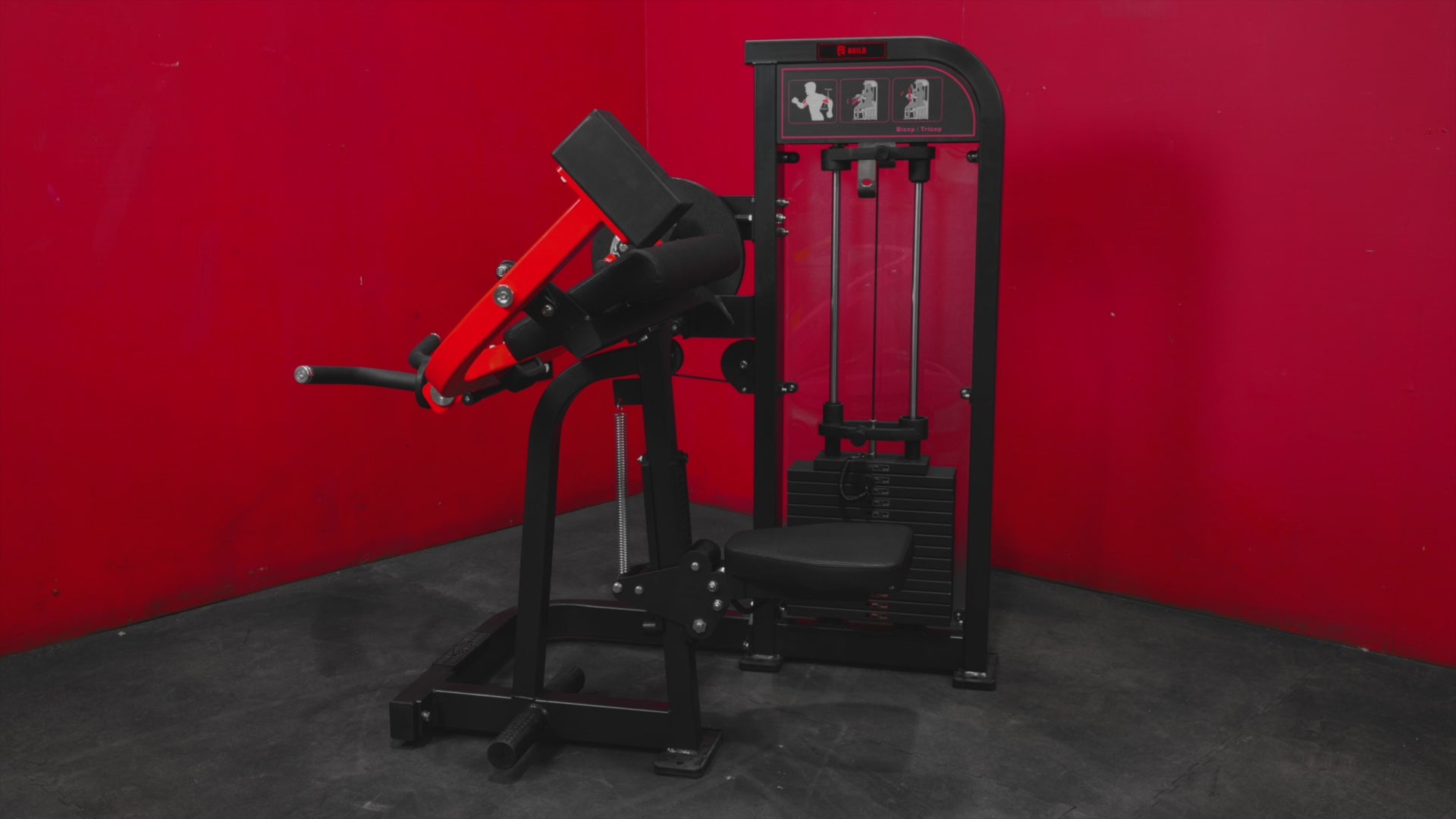 BUILD Biceps Triceps Combo (New)