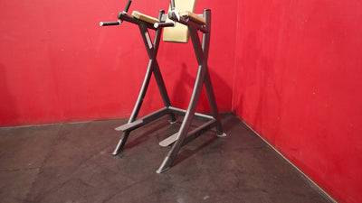 Cybex VKR Dip & Leg Raise (Remanufactured)