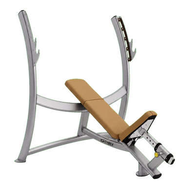 Cybex Olympic Incline Bench silver frame tan upholstery transparent