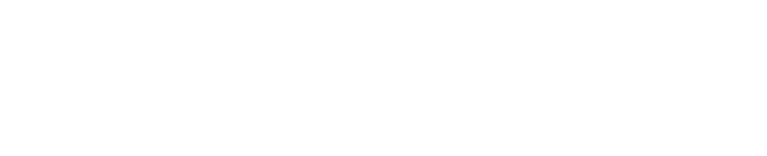 Priority Capital